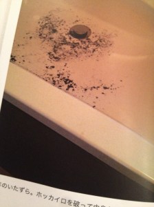 IMG_2865